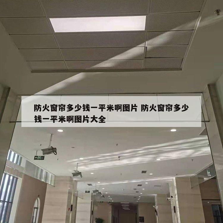 防火窗帘多少钱一平米啊图片 防火窗帘多少钱一平米啊图片大全