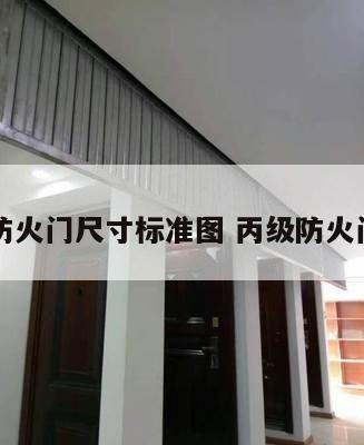 丙级防火门尺寸标准图 丙级防火门图片