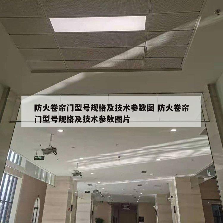 防火卷帘门型号规格及技术参数图 防火卷帘门型号规格及技术参数图片
