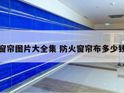 防火窗帘图片大全集 防火窗帘布多少钱一米