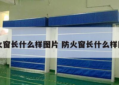 防火窗长什么样图片 防火窗长什么样图片