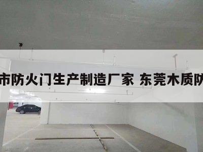 东莞市防火门生产制造厂家 东莞木质防火门