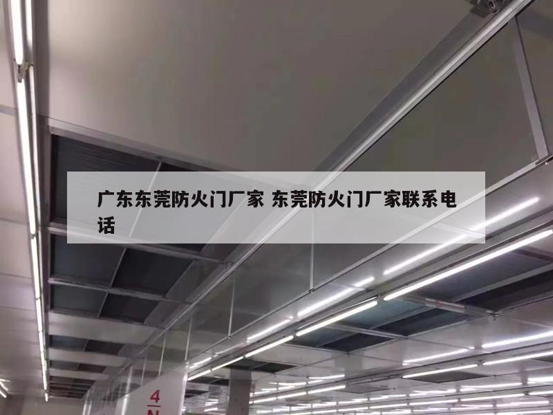 广东东莞防火门厂家 东莞防火门厂家联系电话
