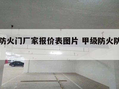甲级防火门厂家报价表图片 甲级防火防盗门图片