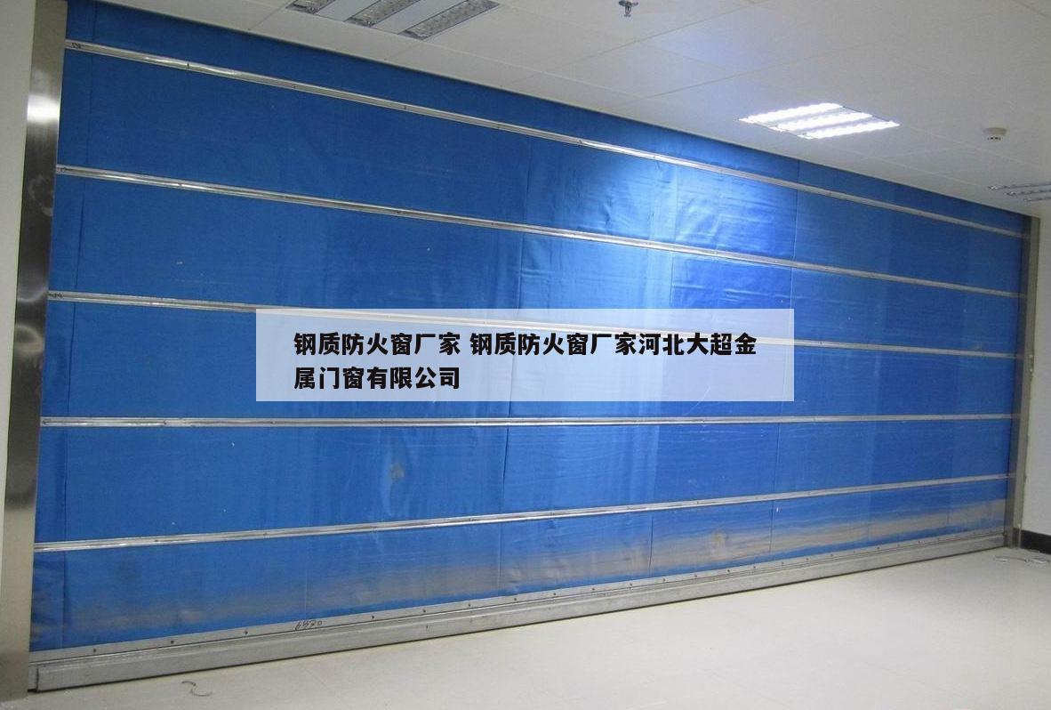 钢质防火窗厂家 钢质防火窗厂家河北大超金属门窗有限公司