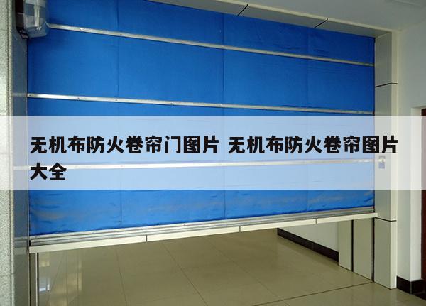 无机布防火卷帘门图片 无机布防火卷帘图片大全