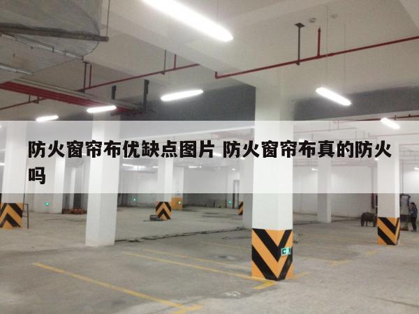 防火窗帘布优缺点图片 防火窗帘布真的防火吗