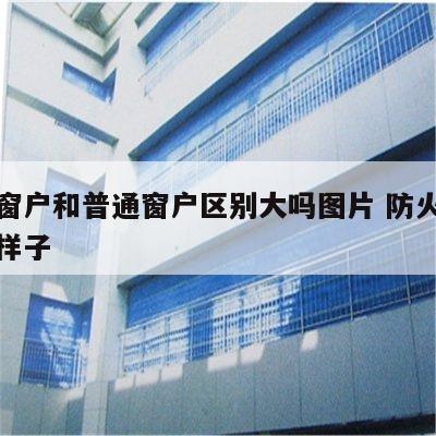 防火窗户和普通窗户区别大吗图片 防火窗是什么样子