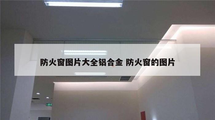 防火窗图片大全铝合金 防火窗的图片